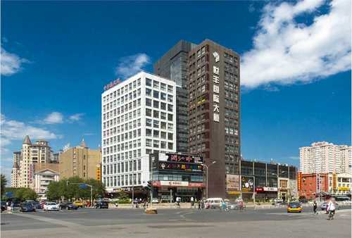 宁波野生灰树花产地