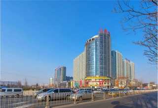 江苏手工宠物磨牙零食卖价